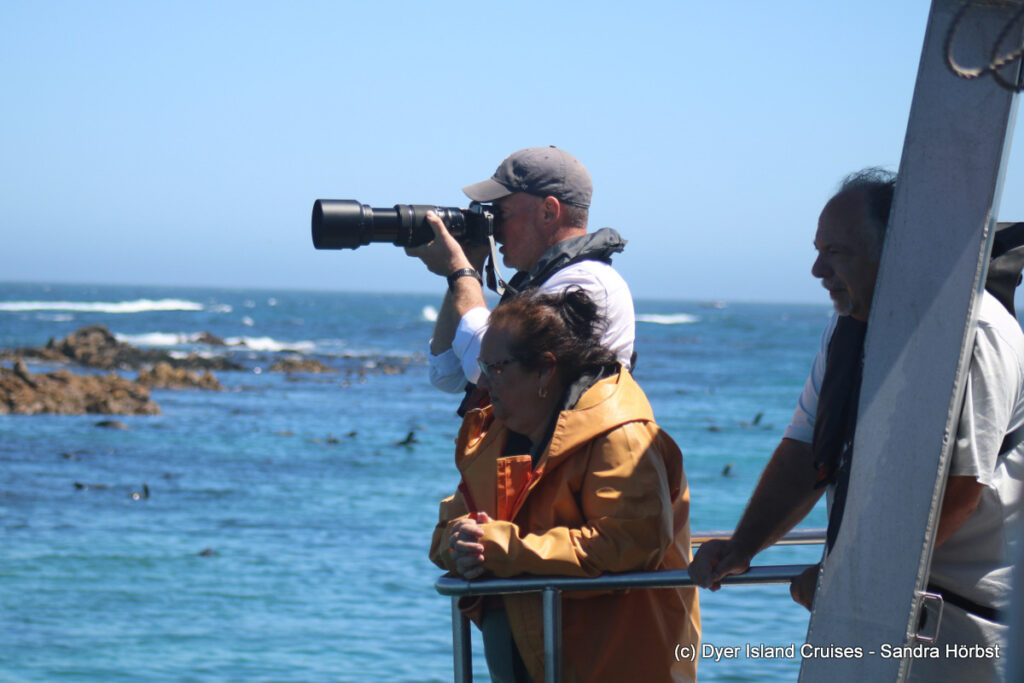 whale watching, gansbaai, south africa