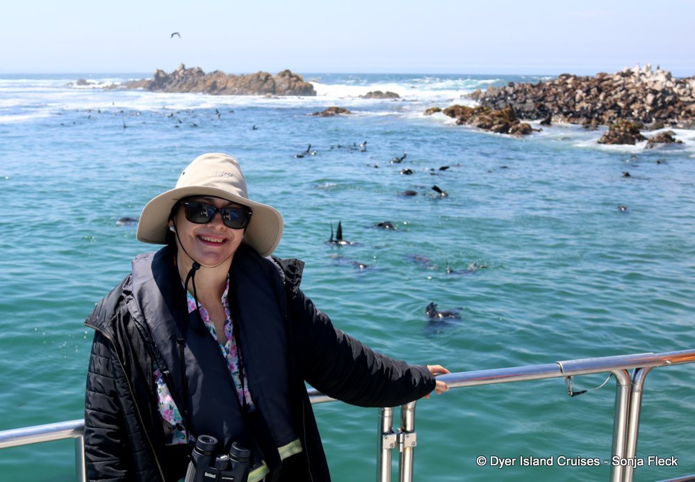 whale watching, gansbaai, south africa