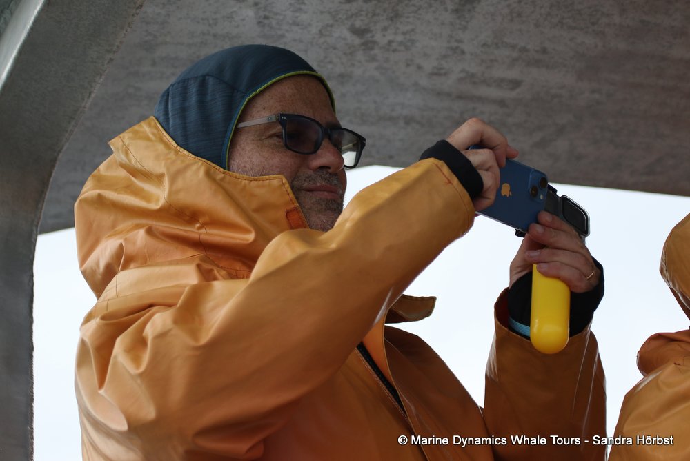 people, whale watching, gansbaai, south africa
