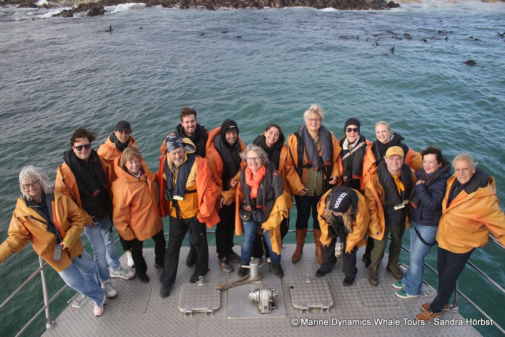 people, whale watching, gansbaai, south africa