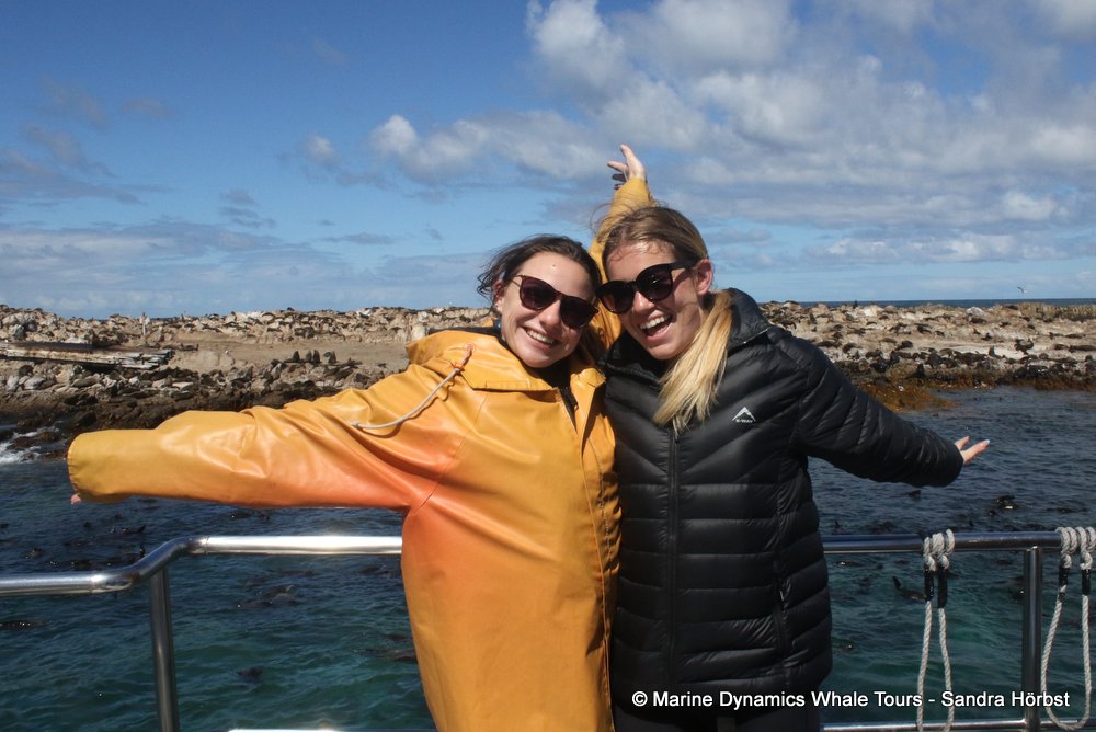 people, whale watching, gansbaai, south africa