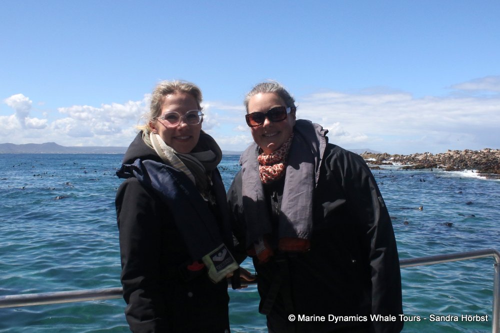 people, whale watching, gansbaai, south africa