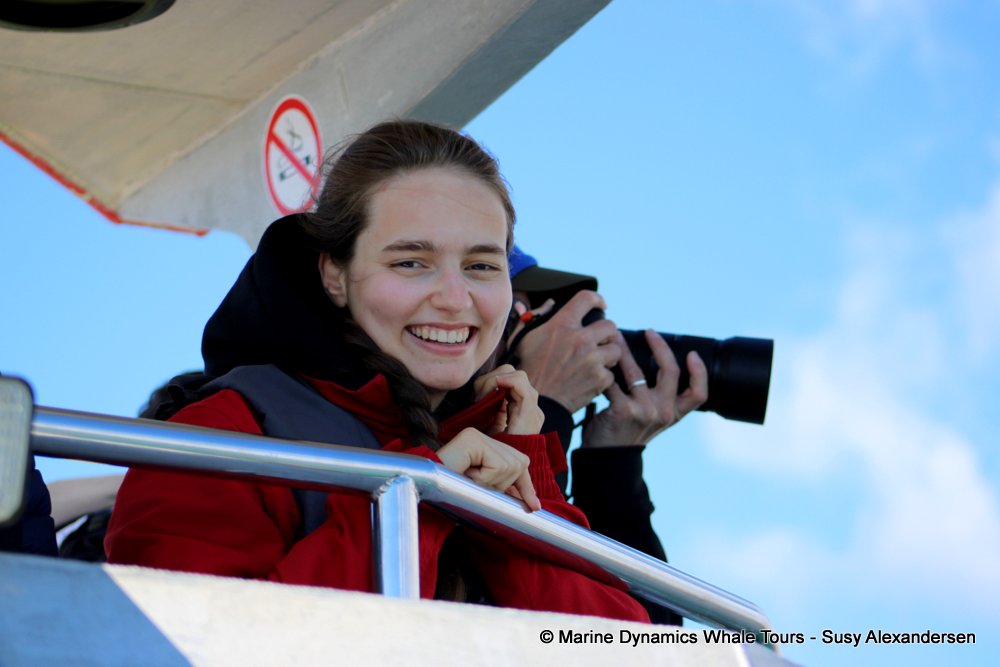 people, whale watching, gansbaai, south africa