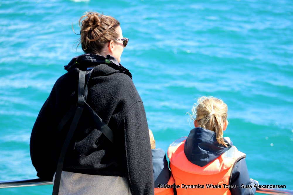 people, whale watching, gansbaai, south africa