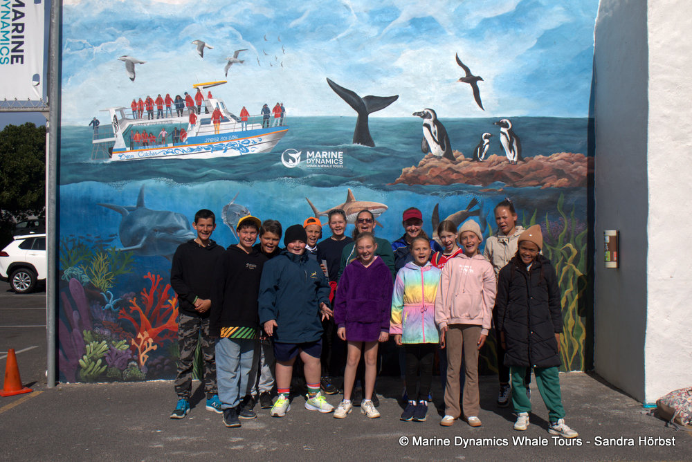 people, whale watching, gansbaai, south africa