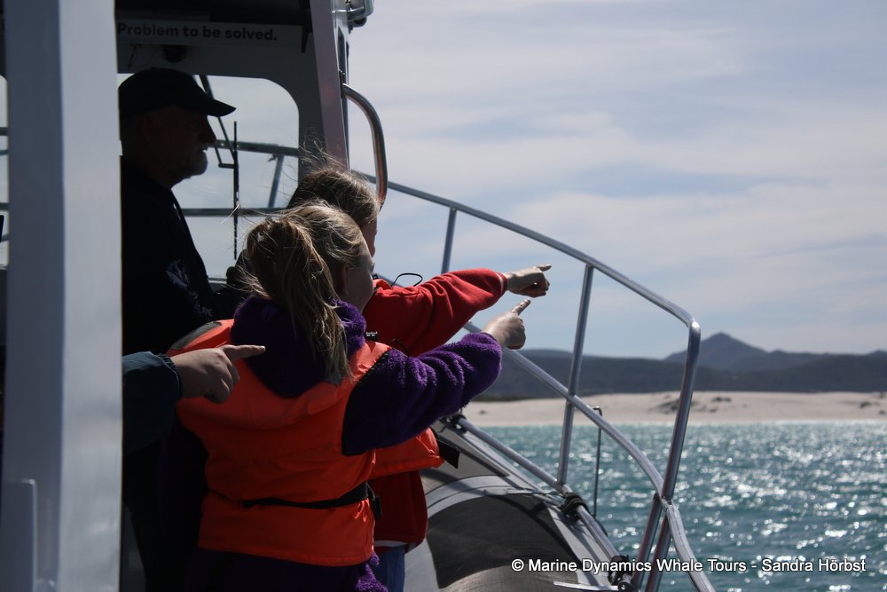 people, whale watching, gansbaai, south africa