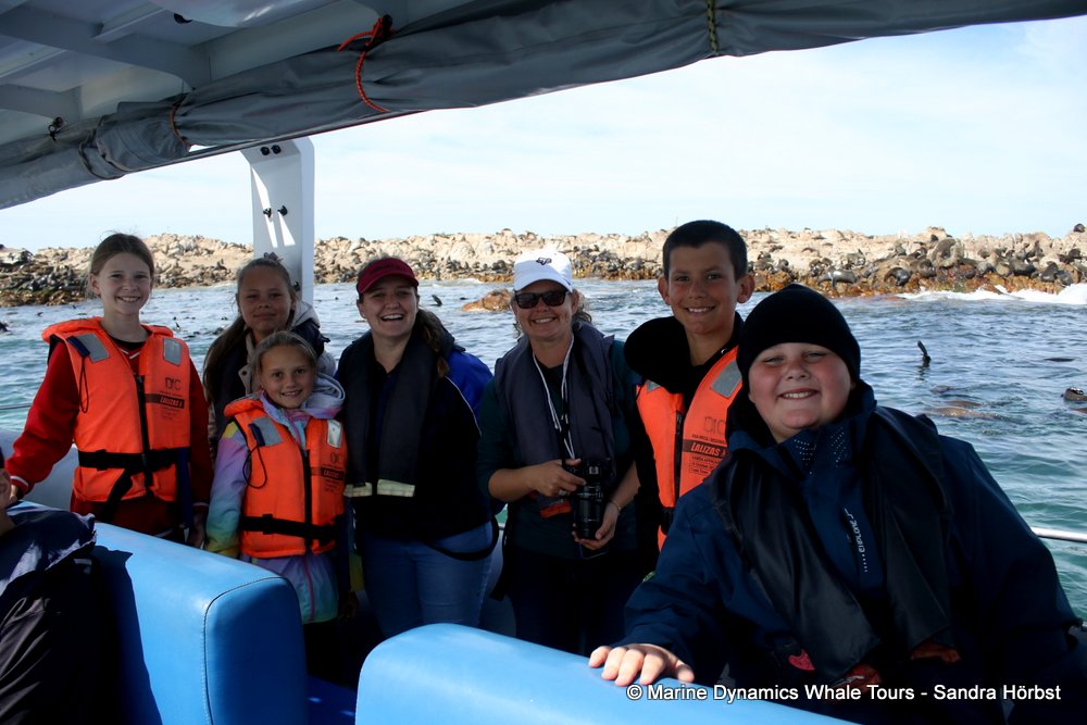people, whale watching, gansbaai, south africa