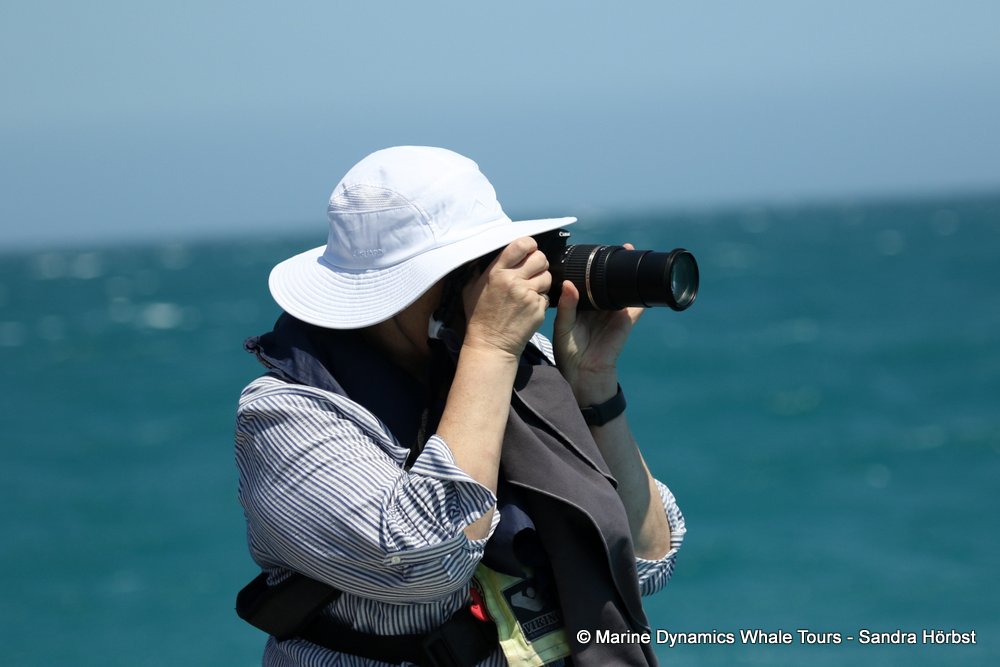 people, whale watching, gansbaai, south africa