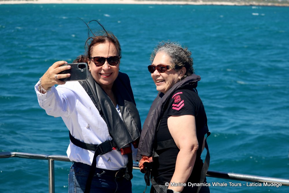 people, whale watching, gansbaai, south africa