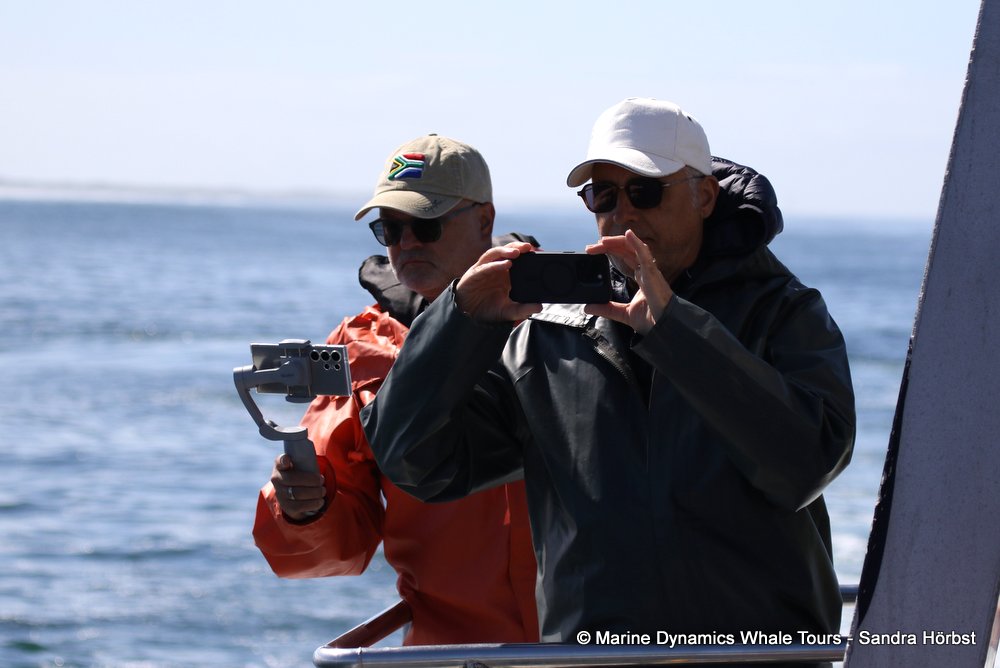 people, whale watching, gansbaai, south africa