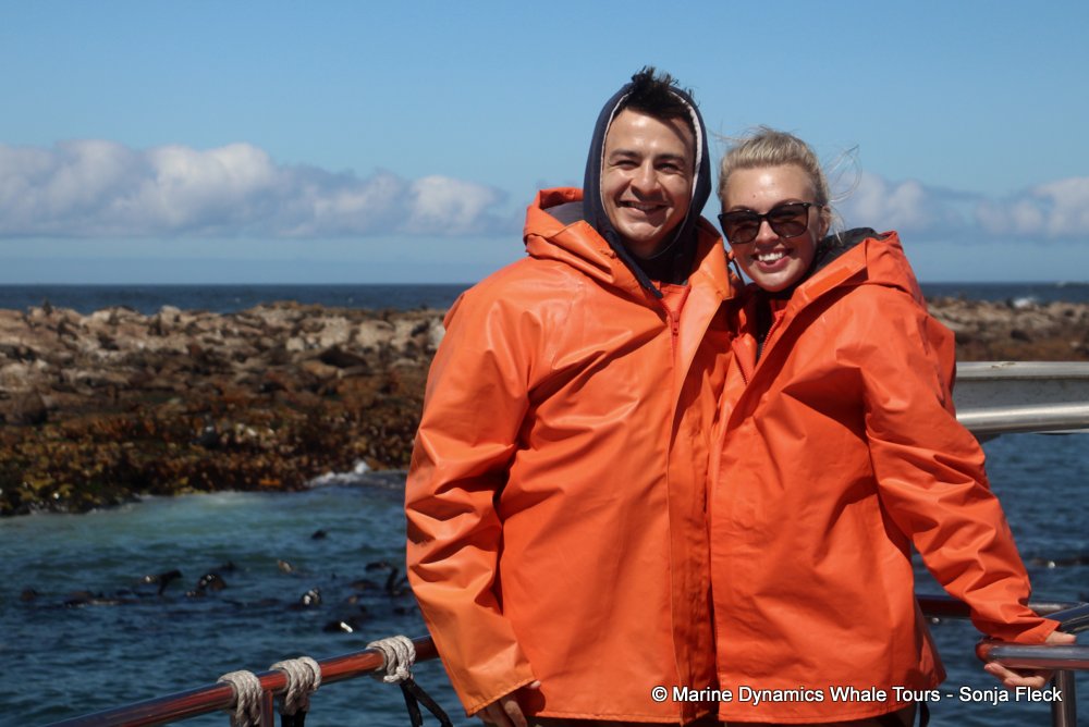 whale watching, gansbaai, south africa,