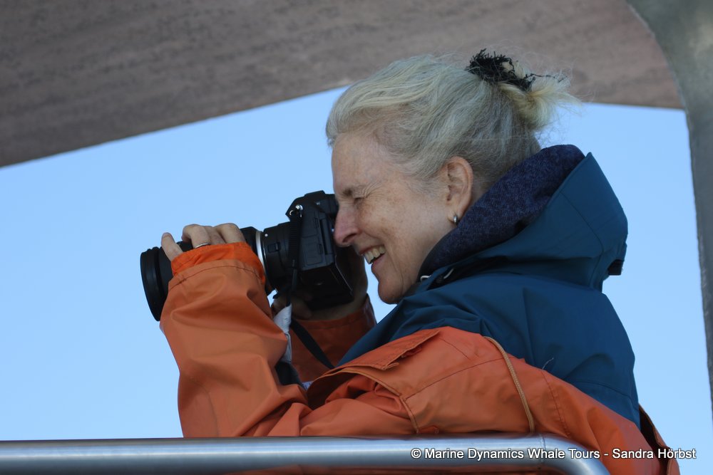 people, whale watching, gansbaai, south africa