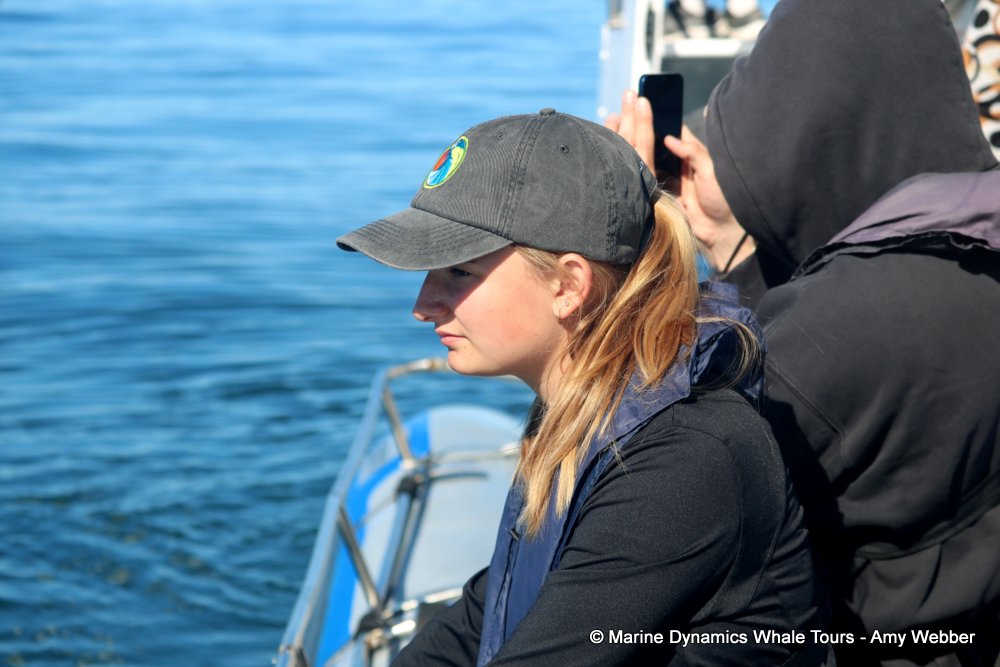 whale watching, gansbaai, south africa,