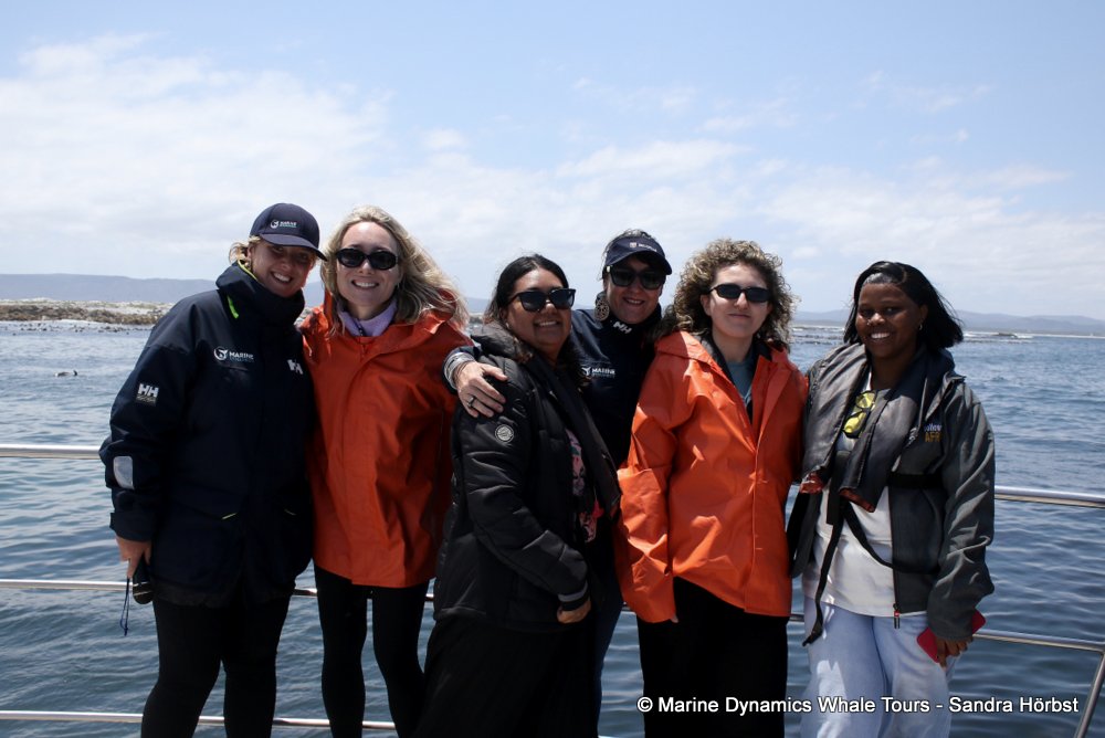 whale watching, gansbaai, south africa,