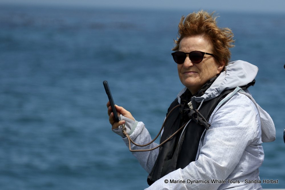 whale watching, gansbaai, south africa,