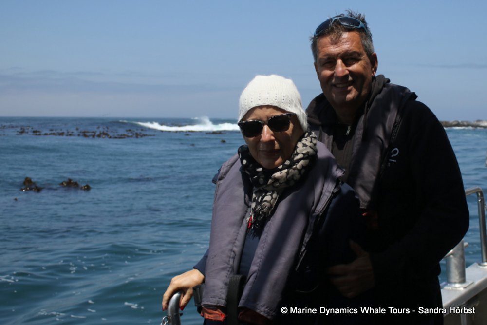 whale watching, gansbaai, south africa,