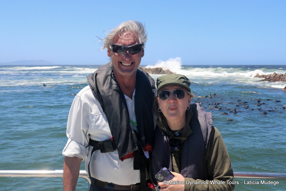 whale watching, gansbaai, south africa,