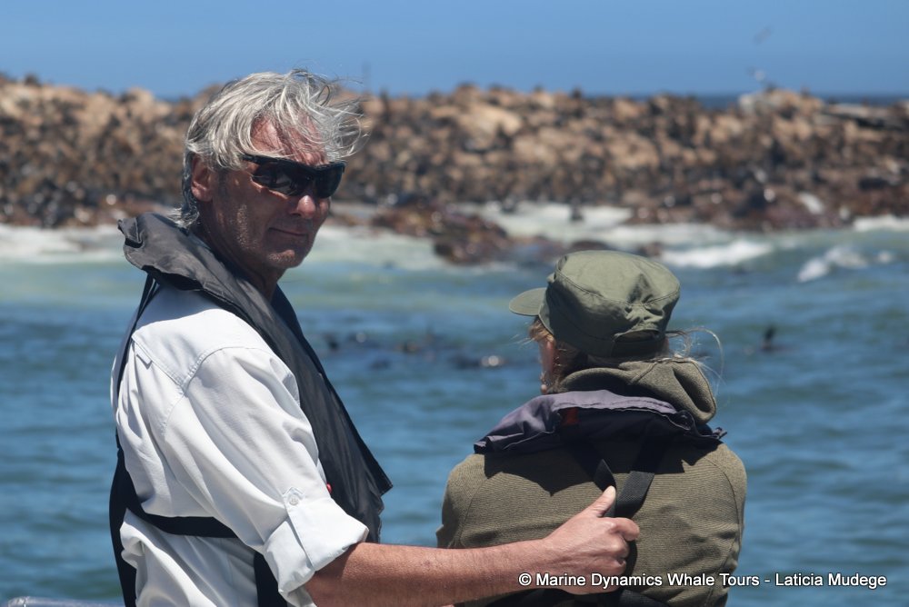 whale watching, gansbaai, south africa,