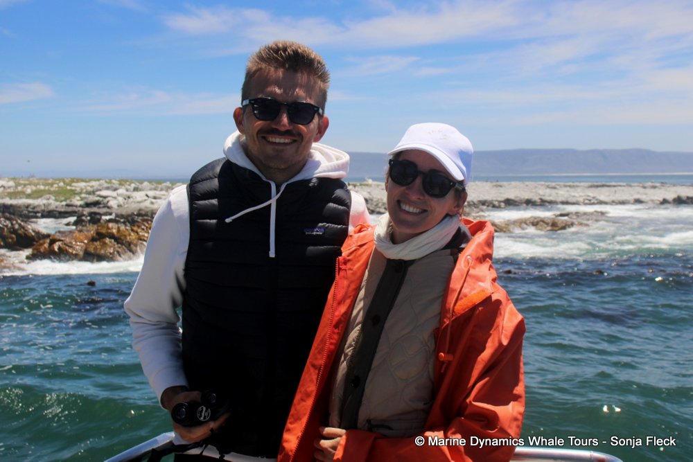 whale watching, gansbaai, south africa,