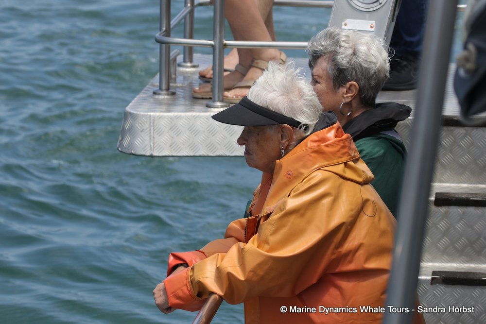 people, whale watching, gansbaai, south africa