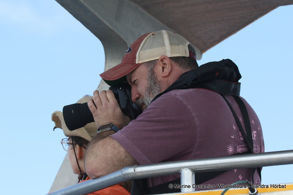 people, whale watching, gansbaai, south africa