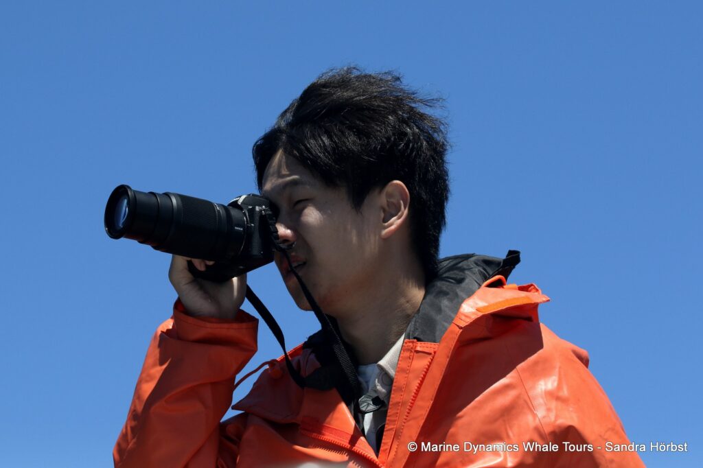 people, whale watching, gansbaai, south africa