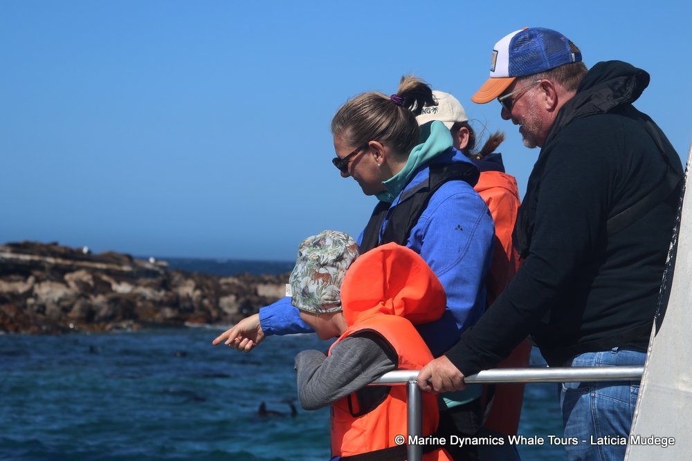 people, whale watching, gansbaai, south africa