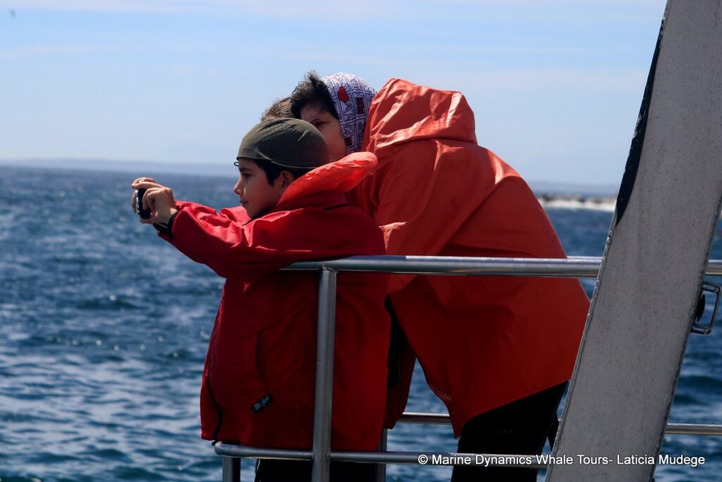 people, whale watching, gansbaai, south africa