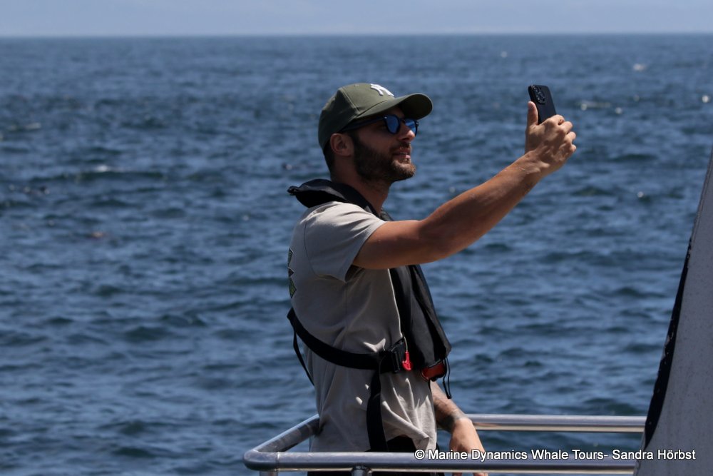 people, whale watching, gansbaai, south africa