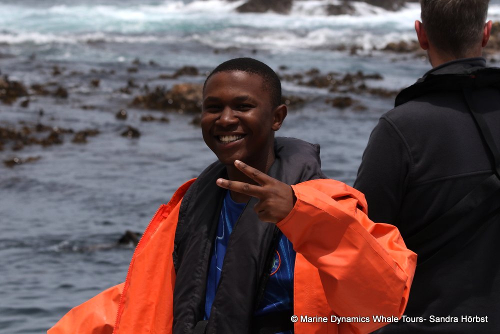 people, whale watching, gansbaai, south africa