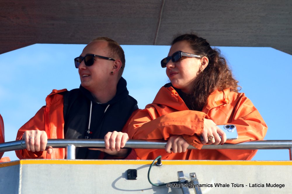people, whale watching, gansbaai, south africa
