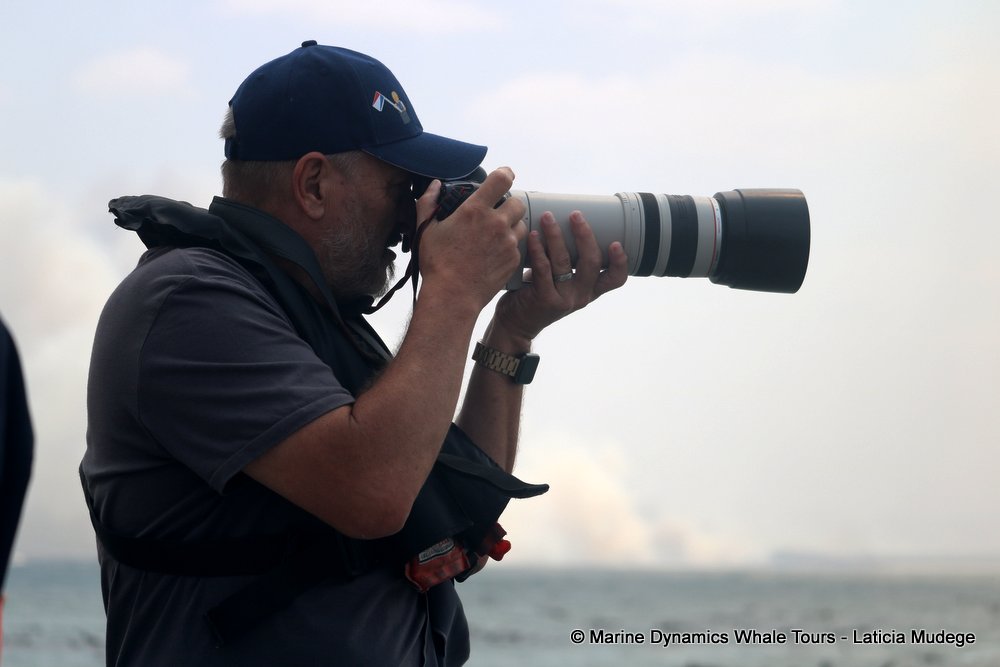 people, whale watching, gansbaai, south africa