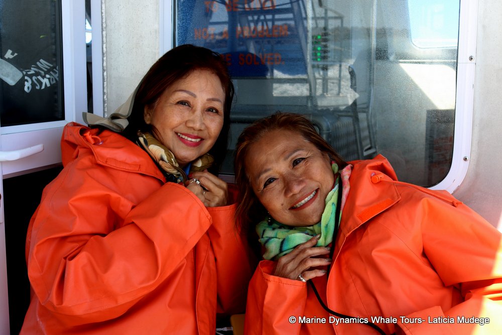 people, whale watching, gansbaai, south africa