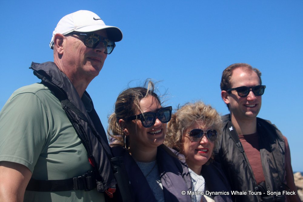 whale watching, gansbaai, south africa,