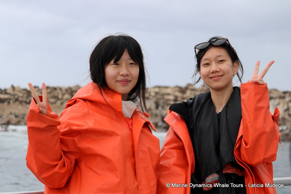 people, whale watching, gansbaai, south africa