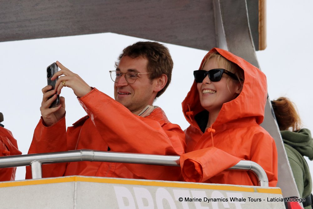 people, whale watching, gansbaai, south africa