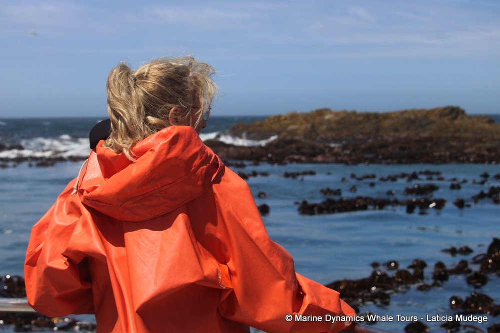 people, whale watching, gansbaai, south africa