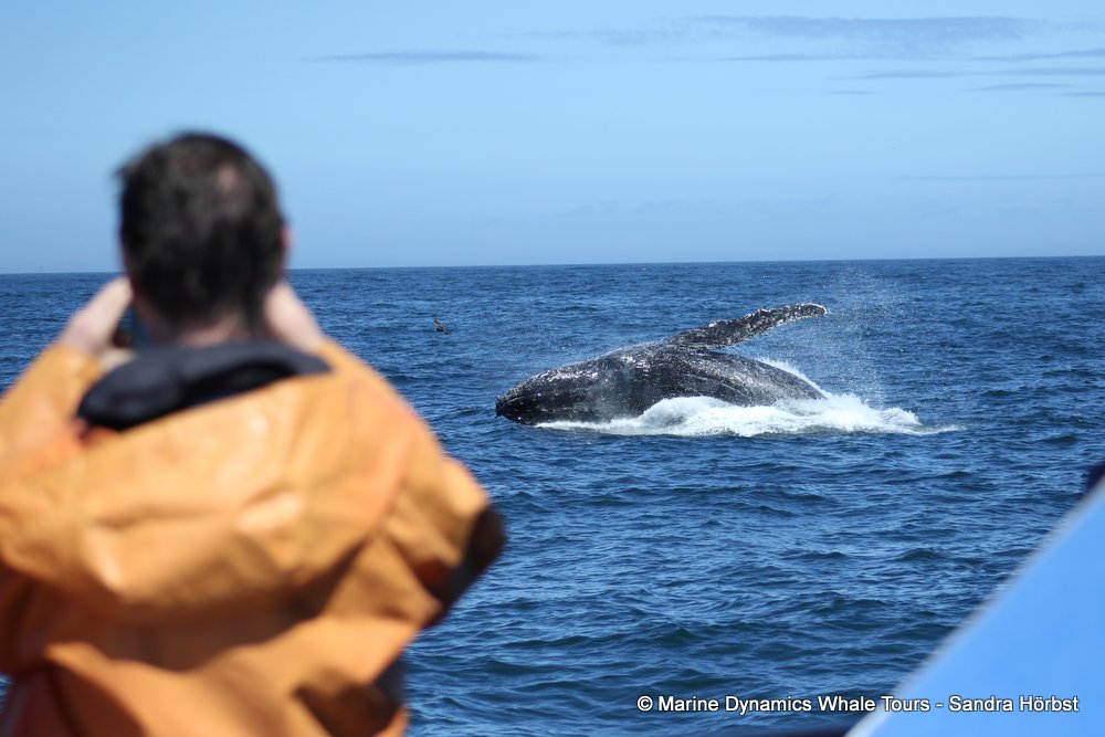 Marine Big 5 Daily Blog 24 February