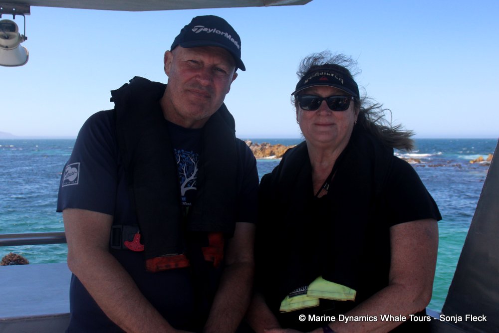 whale watching, gansbaai, south africa