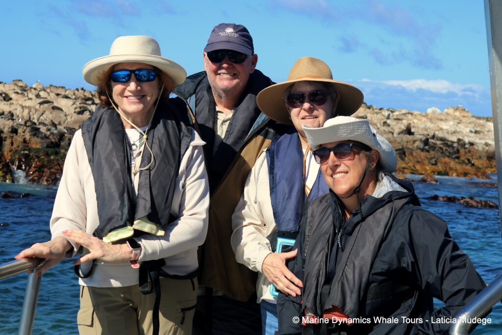people, whale watching, gansbaai, south africa