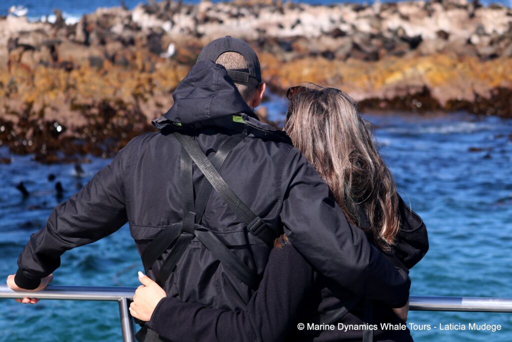 people, whale watching, gansbaai, south africa