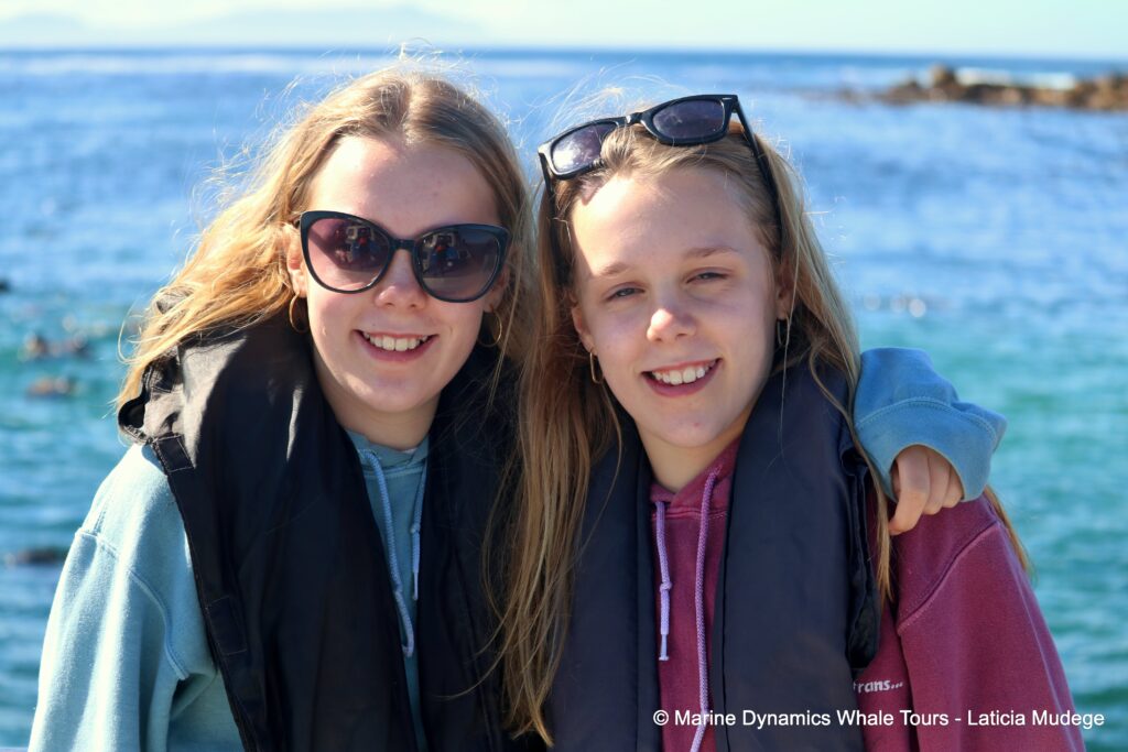 people, whale watching, gansbaai, south africa