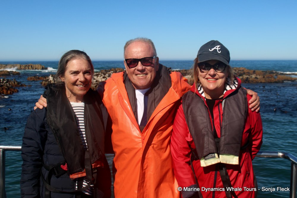 whale watching, gansbaai, south africa