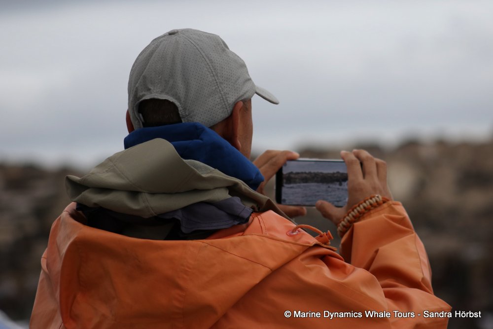 people, whale watching, gansbaai, south africa