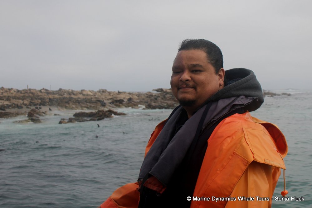 whale watching, gansbaai, south africa