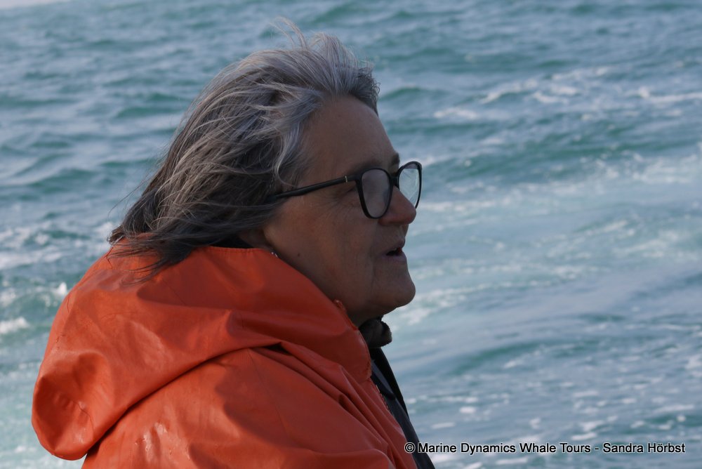 people, whale watching, gansbaai, south africa