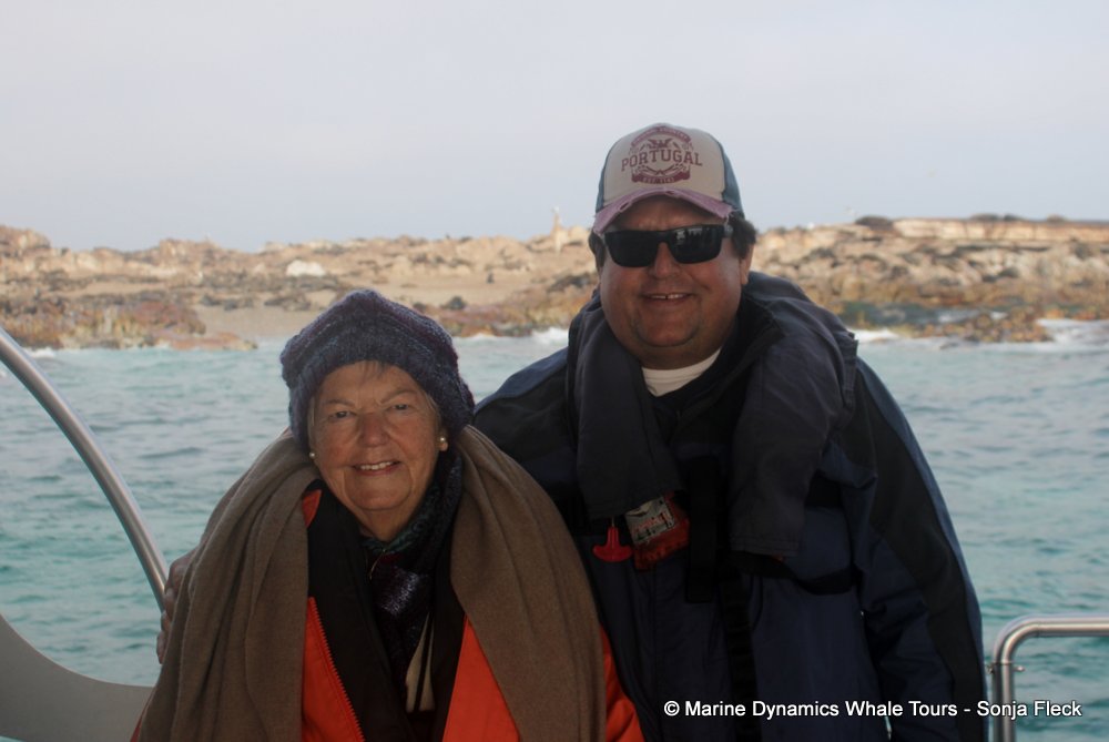 whale watching, gansbaai, south africa