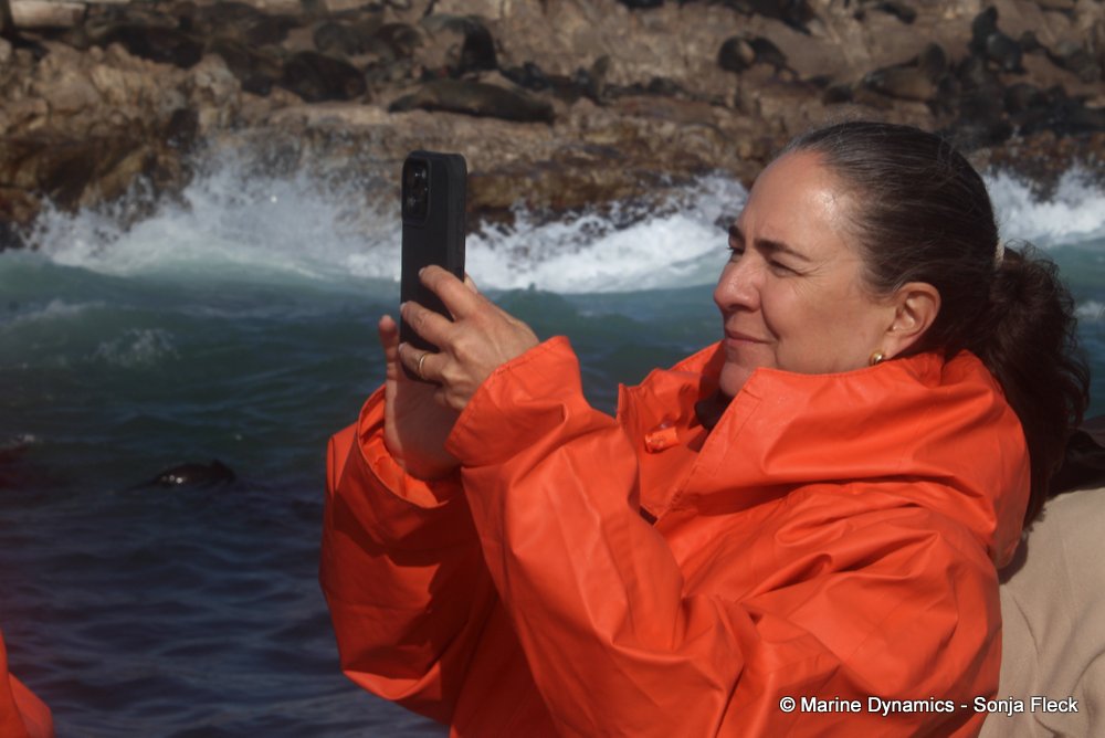whale watching, gansbaai, south africa