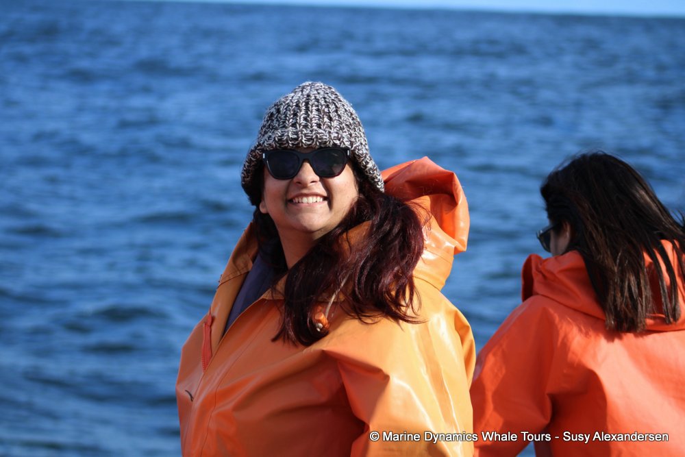 people, whale watching, gansbaai, south africa