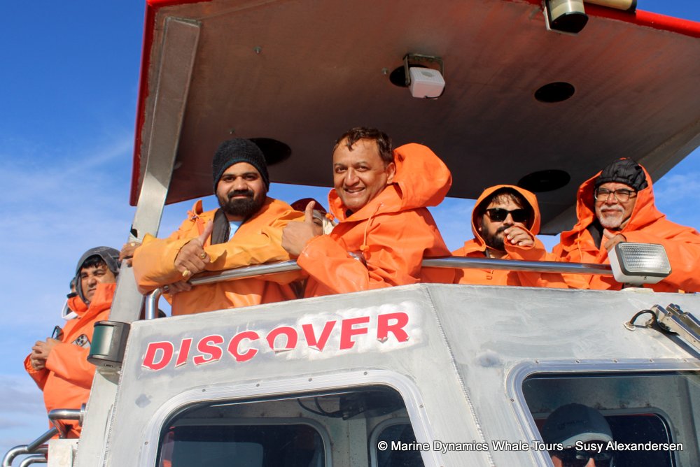 people, whale watching, gansbaai, south africa